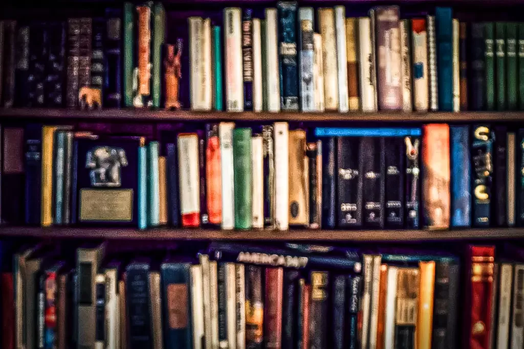 Dia Nacional do Livro: 16 executivos indicam obras que mudaram sua carreira