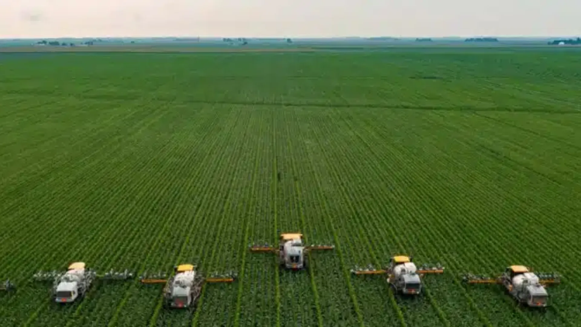 Panorama do Agronegócio