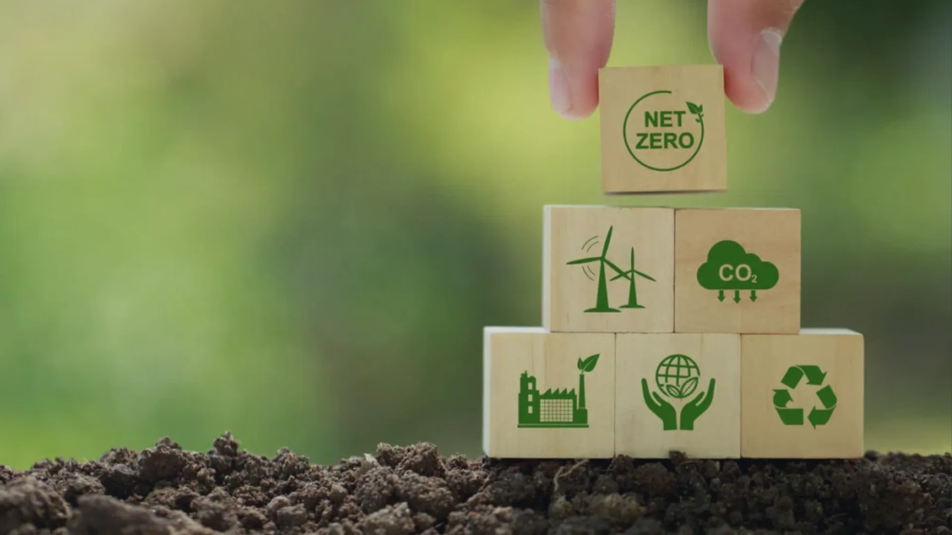 Principais pautas sobre o Mercado de Crédito de Carbono